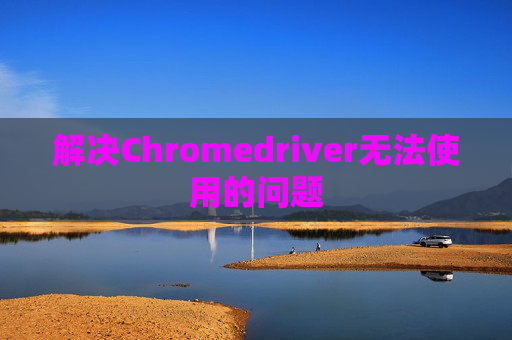 解决Chromedriver无法使用的问题